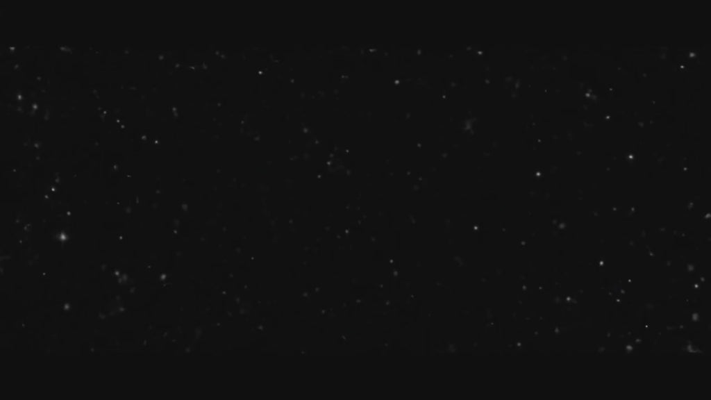 Zuviora ring light Aura