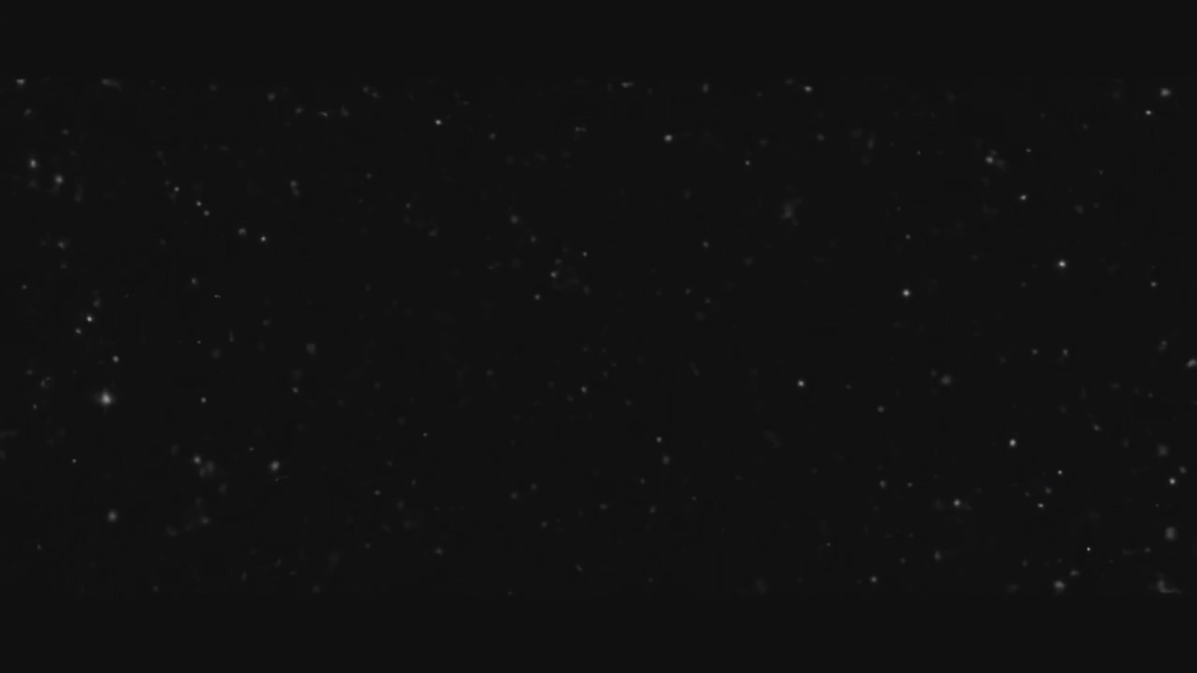 Zuviora ring light Aura