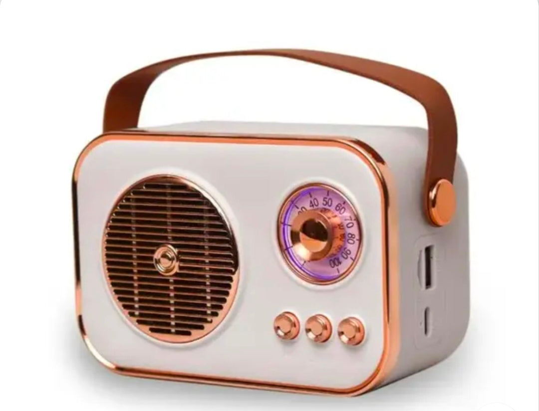 H&T Pink Bluetooth Speaker 2025 – Lightweight, Loud & Designed for Everyday Adventures